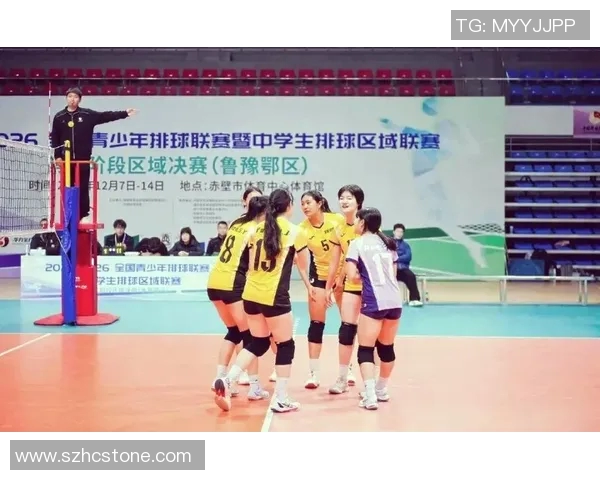 南京排球队耐力革命引发热议全新训练理念助力竞技水平提升